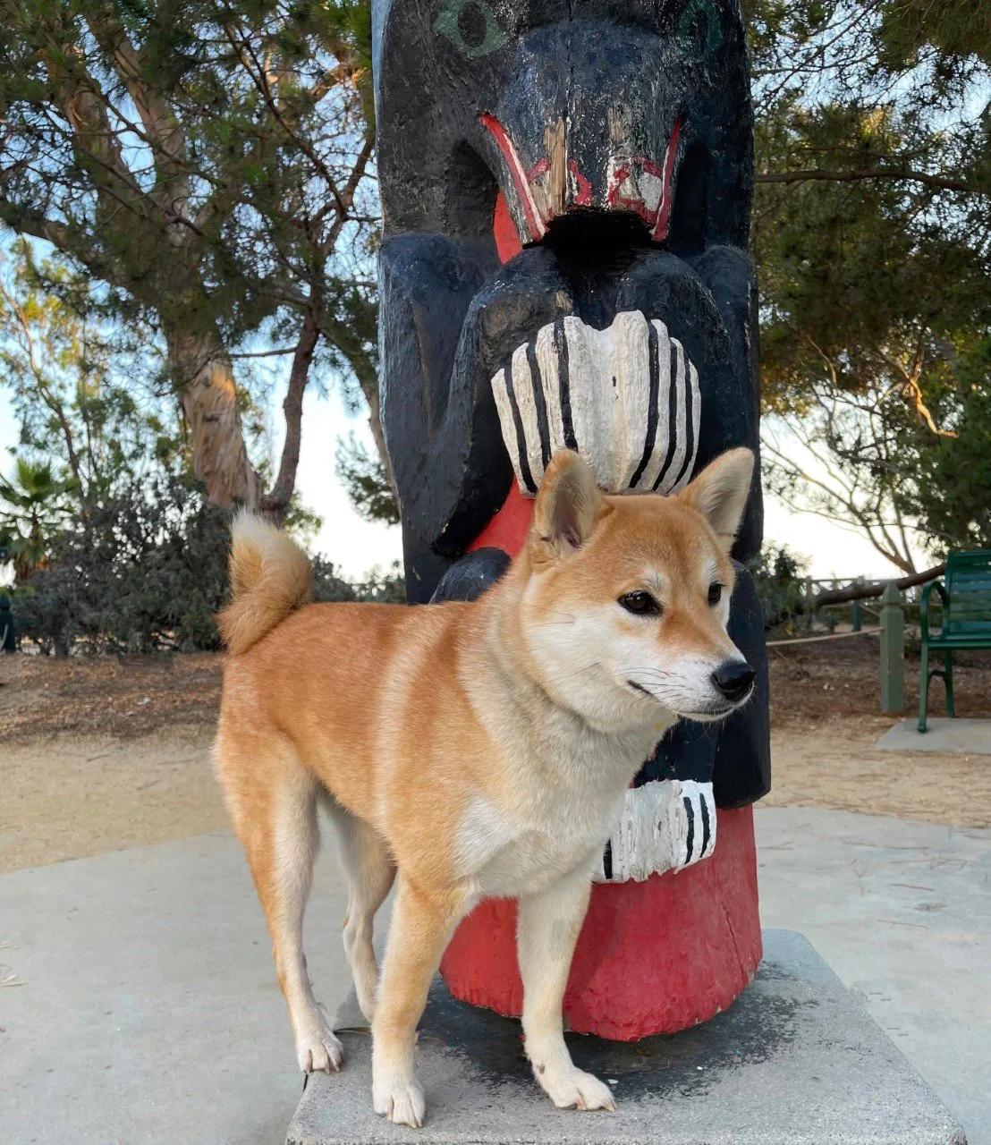 24/7 Boutique Private Dog Training
	
		
			Dog Behavior Specialist Santa Monica | Aggressive & Reactive Dog Training Los Angeles
Private Dog Training for Aggressive, Reactive, Fearful & Challenging Dogs
Click Here to Book Your Private Session
A Different Approach to Dog Training 
When your dog is struggling with aggression, fear, anxiety, reactivity, or other unwanted behavior, you want more than someone who simply teaches commands. You want someone who can change the dog’s behavior, keeping his wonderful personality, while removing the unwanted behaviors.
You want someone who can understand your dog.
Leonard Ludovico has a remarkable ability to read a dog's body language, behavior, and communication—helping him recognize what may be contributing to the problem and you’re your dog needs. He changes the dog. Then passes the handling skills and techniques on to you, spending enough time with you, to help you know what to do and how to do it to keep the dog in the same place as when the dog was with Leonard.
There is no cookie-cutter program or one-size-fits-all approach. Leonard works directly with each dog and owner to create an individualized path for you and your dog, so you have a smooth, happy, easy, safe relationship.
We Help Dogs With
Aggression • Fear & Anxiety • Leash Aggression • Resource Guarding • Excessive Barking • Impulse-Control Problems • Over-Arousal • Challenging Behavior at Home or in Public
Whether the problem happens around other dogs, strangers, on walks, or at home, the goal is to understand the dog behind the behavior.
This is about more than obedience. It is about helping your dog become calmer, more responsive, more confident, and easier to live with—while giving you a better understanding of your dog and how to work together.
What You and Your Dog Can Gain
Living with a dog with serious behavioral challenges can be stressful and overwhelming.
The goal is to help create positive changes that make everyday life easier for both you and your dog.
Depending on your dog's individual needs, you may see improvement in communication, confidence, responsiveness, and your ability to handle everyday situations together.
A calmer dog. A more confident owner. A better relationship.
Private 1-on-1 Dog Training
Start With a 1.5-Hour Private Training Session
This is not simply a conversation about your dog's problems.
Leonard works with your dog hands-on during the session, observing body language, behavior, reactions, and communication while beginning to address the issues you are experiencing.
You will also gain a clearer understanding of your dog's behavior and what may be contributing to it.
Personal. Direct. Individualized to your dog.
Need a More Immersive Training Experience?
3-Week Private Dog Boot Camp
For dogs that may benefit from a more intensive training experience, Dominant Dogs offers a highly personalized 3-Week Private Dog Boot Camp in Santa Monica. 24/7 Private Dog Behavior Rehabilitation & Training
Your dog stays with Leonard in a private home environment with 24/7 care and supervision. Only a limited number of dogs are accepted at one time, allowing each dog to receive extensive training, structure, guidance, and individual attention.
Learn About the 3-Week Dog Boot Camp
 Ready to Start?
Take the first step toward a better understanding of your dog and positive changes in your life together.
Schedule Your Initial 1.5-Hour Private Training Session
Click Here to Book Your Private Session
 

		
	

	
		
			


Led by professional dog behaviorist Leonard Ludovico, Dominant Dogs works with dogs of all breeds, sizes, and temperaments.
Expert Training for Challenging Dog Behaviors
We help resolve a wide range of behavior issues, including:

 	Dog aggression (toward people or other dogs)
 	Leash reactivity
 	Fear-based behaviors and anxiety
 	Separation anxiety
 	Resource guarding
 	Obedience and impulse control issues

Our goal is not just obedience—but a calm, confident, and well-mannered dog
you can trust at home and in public.
What Makes Dominant Dogs Different
Many clients come to us after working with multiple trainers without success.

 	Clear communication
 	Trust and respect
 	Structure and leadership
 	Owner education and accountability

Professional Dog Behaviorist You Can Trust
Why Choose Leonard Ludovico

 	Aggression & complex case specialist
 	Concierge-level dog training & boot camp
 	Long-term results

Aggressive Dog Training Near You
If you’re searching for aggressive dog training near you, Dominant Dogs is here to help.



 
		
	

	
		
			📍 Serving Santa Monica, Los Angeles, and surrounding areas
Ready to get started? Click the link below to schedule your private session and take the first step toward lasting behavioral change for you and your dog.
Disclaimer: Results vary based on the dog, owner participation, and consistency. Dominant Dogs does not guarantee specific outcomes. Training involves inherent risks, especially with aggressive or reactive dogs.


		
	
Meet LeonardSee ServicesTraining tailored to your dog
	
		
			Leonard spends 16 hours a day, 336 hours with your dog in Doggie Boot Camp. Whether your dog needs help with basic manners, aggression, separation anxiety, barking, fearfulness or rehabilitation—Leonard will implement a plan that is specific to you and your dog’s needs.

		
	
ServicesDoggie BootcampsA 3-week intensive program where your dog is with Leonard 24/7.
In-person trainingWe work on one behavior per session with hands on training with you and your dog.
Virtual trainingSessions focus on teaching you how to regain the power balance with your dog.

	
		
			3 Week Doggie Boot Camp

		
	

	
		
			1 Hour 1-on-1 Dog Training


		
	

	
		
			1 Hour Virtual Training Session


		
	
Why Leonard is Different
	
		
			A big part of eradicating your dog’s behavior is teaching you how to connect with your dog on the animal level instead of the human level. The relationship needs to be one of balance, trust, respect, structure, and leadership. Leonard will teach you how to maintain the transformation once your dog’s training is complete.

		
	
Meet LeonardSee what people are sayingI brought my 9-yr old, lab-mix rescue to Leonard for consultation prior to boot camp. Within the first 15 min of the visit, I could already see my dog transforming into a dog that I had not previously experienced. Read Full ReviewI had the best experience with Leonard. He was professional, to the point, and kind. Leonard is a master of his profession and changed the way I now see my dog (for the better) and the respect and bond that I have with my dog.Read Full ReviewElliott spent 3 weeks with Leonard and we met up with him during and after that time to review skills. Now Elliott can easily walk by other dogs on a leash without reacting. He is also much better behaved at home because we have better routines with him.Read Full ReviewMy fiancé and I just finished our two hour consultation with Leonard and our two dogs. It may have been the most constructive 2 hours we've spent with our dogs since we've had them. As a matter of fact, it DEFINITELY was. We are confident that those two hours will change our relationship with our dogs forever. Read Full ReviewTwo months after my dog has been home from doggy boot camp. I don't have any problems barking like I had before or being aggressive in the house or in front of the house.  I don't even have any problems with her being aggressive in the car anymore.  Also she's not aggressive with me personally.Read Full ReviewWe are thankful everyday for our decision to work with Leonard. Our French Bulldog Yoshi is doing so great. We are able to see light at the end of the tunnel with a dog that listens to us. I cannot say enough of the life change that we are experiencing in our lives through the work with Leonard.Read Full ReviewLeonard is a great trainer who really knows what he is doing. I'm so glad my boyfriend and I decided to take our rescue pup to training. Even though our puppy is technically a senior dog Leonard was still willing to train him. Read Full ReviewWe are now about a month out after she finished bootcamp and she is a truly changed dog! Leonard not only gave her the confidence to handle her anxiety, but also taught her how to walk away when she is around something she doesn't like (e.g. new people, loud noises, the Roomba, etc...). Read Full ReviewI brought my 9-yr old, lab-mix rescue to Leonard for consultation prior to boot camp. Within the first 15 min of the visit, I could already see my dog transforming into a dog that I had not previously experienced. Read Full ReviewI had the best experience with Leonard. He was professional, to the point, and kind. Leonard is a master of his profession and changed the way I now see my dog (for the better) and the respect and bond that I have with my dog.Read Full ReviewElliott spent 3 weeks with Leonard and we met up with him during and after that time to review skills. Now Elliott can easily walk by other dogs on a leash without reacting. He is also much better behaved at home because we have better routines with him.Read Full ReviewMy fiancé and I just finished our two hour consultation with Leonard and our two dogs. It may have been the most constructive 2 hours we've spent with our dogs since we've had them. As a matter of fact, it DEFINITELY was. We are confident that those two hours will change our relationship with our dogs forever. Read Full ReviewTwo months after my dog has been home from doggy boot camp. I don't have any problems barking like I had before or being aggressive in the house or in front of the house.  I don't even have any problems with her being aggressive in the car anymore.  Also she's not aggressive with me personally.Read Full ReviewWe are thankful everyday for our decision to work with Leonard. Our French Bulldog Yoshi is doing so great. We are able to see light at the end of the tunnel with a dog that listens to us. I cannot say enough of the life change that we are experiencing in our lives through the work with Leonard.Read Full ReviewLeonard is a great trainer who really knows what he is doing. I'm so glad my boyfriend and I decided to take our rescue pup to training. Even though our puppy is technically a senior dog Leonard was still willing to train him. Read Full ReviewWe are now about a month out after she finished bootcamp and she is a truly changed dog! Leonard not only gave her the confidence to handle her anxiety, but also taught her how to walk away when she is around something she doesn't like (e.g. new people, loud noises, the Roomba, etc...). Read Full Reviewprevious slidenext slideSEE MORE REVIEWS See Dominant Dogs in Action!
	
		
			A trainer you can truly trust! Check out Leonard in action and get to know some of his doggie pals in training.

		
	


            This error message is only visible to WordPress admins
        Error: API requests are being delayed for this account. New posts will not be retrieved.Log in as an administrator and view the Instagram Feed settings page for more details.        
	
    
		    
    
	    	            
            
	            	                        
	                    
	                            
	                                    
                                                Jan 10
	                
	                                
	                                        
            

        

    

        
	    
    


    
	    	            
            
	            	                        
	                    
	                            
	                                    
                                                Jan 10
	                
	                                
	                                        
            

        

    

        
	    
    


    
	    	            
            
	            	                        
	                    
	                            
	                                    
                                                Jan 10
	                
	                                
	                                        
            

        

    

        
	    
    


    
	    	            
            
	            	                        
	                    
	                            
	                                    
                                                Jan 10
	                
	                                
	                                        
            

        

    

        
	    
    


    
	    	            
            
	            	                        
	                    
	                            
	                                    
                                                Jan 10
	                
	                                
	                                        
            

        

    

        
	    
    


    
	    	            
            
	            	                        
	                    
	                            
	                                    
                                                Jan 10
	                
	                                
	                                        
            

        

    

        
	    
    


    
	    	            
            
	            	                        
	                    
	                            
	                                    
                                                Jan 10
	                
	                                
	                                        
            

        

    

        
	    
    


    
	    	            
            
	            	                        
	                    
	                            
	                                    
                                                Jan 10
	                
	                                
	                                        
            

        

    

        
	    
    


    
	    	            
            
	            	                        
	                    
	                            
	                                    
                                                Jan 10
	                
	                                
	                                        
            

        

    

        
	    
    


    
	    	            
            
	            	                        
	                    
	                            
	                                    
                                                Jan 10
	                
	                                
	                                        
            

        

    

        
	    
    


    
	    	            
            
	            	                        
	                    
	                            
	                                    
                                                Jan 10
	                
	                                
	                                        
            

        

    

        
	    
    


    
	    	            
            
	            	                        
	                    
	                            
	                                    
                                                Jan 10
	                
	                                
	                                        
            

        

    

        
	    
    


    
	    	            
            
	            	                        
	                    
	                            
	                                    
                                                Jan 10
	                
	                                
	                                        
            

        

    

        
	    
    


    
	    	            
            
	            	                        
	                    
	                            
	                                    
                                                Jan 10
	                
	                                
	                                        
            

        

    

        
	    
    


    
	    	            
            
	            	                        
	                    
	                            
	                                    
                                                Jan 10
	                
	                                
	                                        
            

        

    

        
	    
    



	

	
	

	    
	        
        



More Info
	
		
			Learn more about Leonard’s methods and how you can help your dog be their happiest self.

		
	
New Studies Show Dogs Can Sense When You are StressedJanuary 13, 2023Have you ever noticed how your dog seems to know when something is wrong, even…KEEP READINGDog Training Tips for New Dog OwnersDecember 9, 2022In order to help both you and your dog to enjoy a happy life together,…KEEP READINGHow to Train an Aggressive DogOctober 10, 2022No one wants an overly aggressive dog. They're often known as the "bad boys" of…KEEP READINGWhat Is Intuition?December 12, 2022It’s instinctively knowing or feeling something without really knowing how or why because there is…KEEP READINGDog Expert Leonard Ludovico Rehabilitates Dogs for Aggression, Separation AnxietyDecember 8, 2022Los Angeles, CA Dogs may be man’s best friend, but when there is an imbalance…KEEP READING
	
		
			
  
    
    
      Professional Aggressive Dog Trainer in Santa Monica
      When a dog develops aggressive behavior, it can become stressful and overwhelming for both the dog and the owner. At Dominant Dogs, we specialize in aggressive dog training in Santa Monica, helping dogs overcome behavioral challenges and regain balance.
      Aggression in dogs can appear in many forms, including leash reactivity, territorial aggression, fear-based aggression, and dominance-related behavior. Our training programs focus on understanding the root cause of aggression and implementing structured behavior modification techniques that produce long-term results.
      Our approach is not simply about controlling behavior; it is about helping dogs learn better communication, trust, and leadership. Through consistent training and guidance, we help dogs become calm, stable, and confident companions.
    

    
    
      Understanding Aggressive Dog Behavior
      Aggressive dog behavior often develops due to fear, lack of leadership, poor socialization, or traumatic experiences. Many dogs react aggressively when they feel threatened or confused about their environment.
      Common types of aggression include:

      
        
          🐕‍🦺
          Dog-to-dog aggression
        
        
          🏡
          Territorial aggression
        
        
          🍖
          Resource guarding
        
        
          😨
          Fear aggression
        
        
          ⛓️
          Leash aggression
        
      
      By evaluating the dog’s history, environment, and triggers, we develop a training plan that addresses the root cause of the behavior rather than simply managing symptoms.
    

    
    
      Aggressive Dog Behavior Training Programs
      Dominant Dogs offers specialized training programs designed to address serious behavioral issues.
      Our programs include:

      
        
          🏕️
          Dog Training Boot Camp
          An immersive program designed to reshape behavior through consistent training and structured routines.
        
        
          👤
          Private Dog Training Sessions
          Personalized training sessions that focus on specific behavioral challenges and owner education.
        
      
      Each program focuses on building trust, leadership, and clear communication between dog and owner.
    

    
    
      Our Behavior Modification Training Method
      Our training philosophy focuses on balanced behavior modification methods that prioritize clear communication and structured leadership.
      Training techniques include:

      
        
          🔍
          Controlled exposure training
        
        
          🧠
          Behavioral conditioning
        
        
          💪
          Confidence-building exercises
        
        
          🗓️
          Structured routines
        
        
          📖
          Owner education and coaching
        
      
      By combining these methods, we create a stable environment where dogs can learn appropriate responses and develop calm, balanced behavior.
    

    
    
      Why Dog Owners Choose Dominant Dogs
      Dog owners across Santa Monica choose Dominant Dogs because of our experience working with difficult and aggressive dogs.
      Key reasons clients trust our programs include:

      
        
          Experience with complex behavior cases
        
        
          Proven training techniques
        
        
          Individualized training plans
        
        
          Focus on long-term behavior rehabilitation
        
      
      We believe every dog has the potential to improve with the right guidance and structure.
    

    
    
      Dog Training Services in Santa Monica
      In addition to aggressive dog training, we offer a variety of professional dog training services.
      Services include:

      
        
          🛠️
          Behavior modification training
        
        
          👤
          Private dog training sessions
        
        
          🏕️
          Dog training boot camp programs
        
        
          🔍
          Behavior consultations
        
      
      Our programs are designed to help dogs become more confident, responsive, and balanced.
    

    
    
      Serving Santa Monica Dog Owners
      Dominant Dogs proudly provides professional dog training services throughout Santa Monica and surrounding communities. Our training programs are designed to help local dog owners manage challenging behaviors and build stronger relationships with their pets.
    

    
    
      Start Your Dog’s Training Transformation Today
      If your dog struggles with aggression or difficult behavior, professional training can make a significant difference. Dominant Dogs provides structured training programs that help dogs develop calm, stable behavior.
      Contact our team today to learn more about our aggressive dog training programs and begin your dog’s transformation.
      Schedule Aggressive Dog Training Consultation
    

    
    
      FAQs
      
        
          Can aggressive dogs be trained?
          Yes. With proper behavior modification and structured training, many aggressive dogs can significantly improve.
        
        
          How long does aggressive dog training take?
          The timeline varies depending on the severity of the behavior, but consistent training can produce noticeable improvements within weeks.
        
        
          What causes aggression in dogs?
          Aggression can be caused by fear, lack of socialization, past trauma, or unclear leadership.
        
        
          Is professional training necessary for aggressive dogs?
          Professional trainers have the experience and tools needed to safely manage and modify aggressive behavior.
