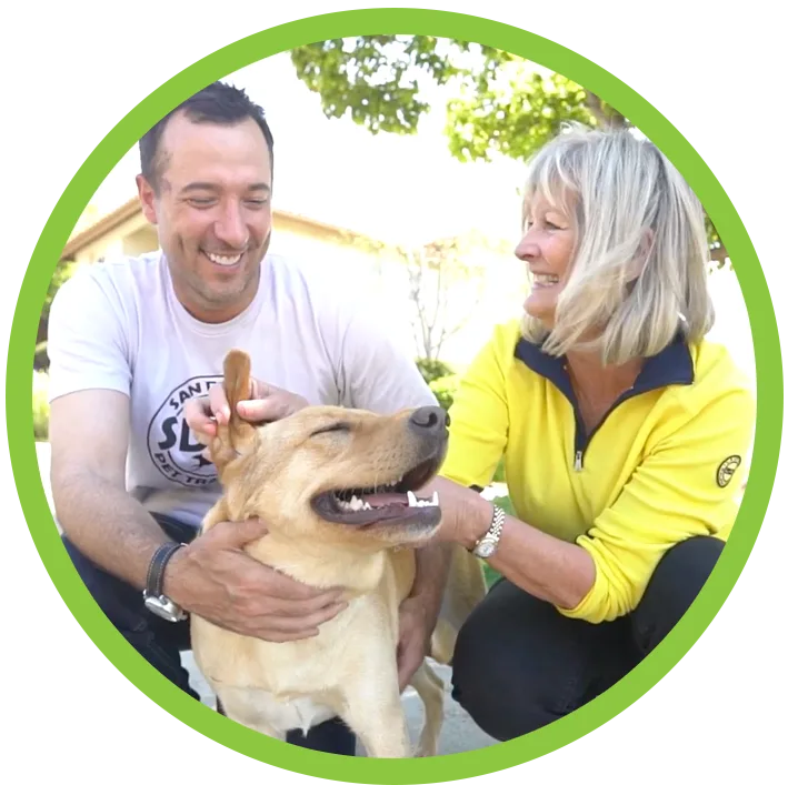 People training equals successful pet training 

    Learn More
  

              
           
                            

 
        
      

            

          
        
            
                                    
                    
		
        
                        
   
                                
              
              
                  
 GROUP CLASSES 

    Learn More
  

              
           
                            

 
        
      

            

          
        
            
                                    
                    
		
        
                        
   
                                
              
              
                  
Hear what our satisfiedclients have to say 

    watch testimonials
  

              
           
                            

 
        
      

            

          
        
            
                                    
                    
		
        
                        
   
                                
              
              
                  
Experience you can trust  

    More about us
  

              
           
                            

 
        
      

            

          
        
            
                                    
                    
		
        
                        
   
                                
              
              
                  
unleash the athlete in your pet with dog agility classes 

    Learn more
  

              
           
                            

 
        
      

            


     

	


	
		

			
			
			

		

		

		
			
SDPT is the knowledgeable, professional and convenient source for pet training 
in San Diego with more than 23 years of experience that gives you results.
		

		

	


	
				
			
			
	
								
									
					
								

	
Group Training 
Group training classes are a great way to teach dogs and owners in a safe, structured environment. We offer puppy, obedience and agility classes.

    See Schedule
  

		
					

	

	
				
			
			
	
								
									
					
								

	
Private Training 
Private dog training sessions are tailored to each owner’s specific needs and goals. Perfect for dogs with anxiety, leash reactivity and assertiveness. 

    Check It Out
  

		
					

	



	
				
			
			

  
          
        
            
                                    
                    
		
        
            
                                
              
              
                  

           
                            

 
        
      

              
            



		
					

	

	
				
			
			
Why Us?
Your dog is a life long companion. Good dog training is investing in the longevity and well being of your dog and family. As former Manager of “Pet’s Rule” at SeaWorld, with a psychology degree, San Diego Pet Training is led by Certified Master Dog Trainer Rob Kuty. In addition, our experience overseeing Animal Training and Behavior at Helen Woodward Animal Center has allowed us to give owners the tools to conduct the training and have positive daily interactions with dogs for more than 23 years.

		
					

	

	
		
After training thousands of dogs these are some of my favorite products…I know you will love them too! 
As an amazon associate I earn from qualifying purchases. 
Training items do require professional guidance so make sure to reach out to Rob for a private session or phone consultation to make sure you are using the tools correctly.
		

	
	
		

	

    Click here to see more of Rob's favorite products
  



	
				
			
			
	
		
	
	
		
Modus
		

	
		
					

	

	
				
			
			
	
		
	
Long Leash
		
					

	

	
				
			
			
	
		
	
No Spill Dog Bowl
		
					

	

	
				
			
			
	
		
	
Better Belly Large Dog Chews