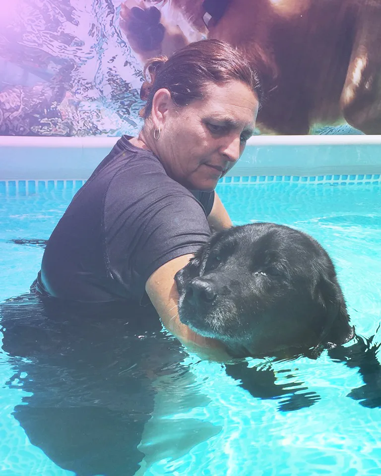 Just like humans, dogs need regular exercise:Injuries, arthritis, mobility issues, even weight gain make regular exercise difficult for dogs to get their daily steps in. That's where LapdogH2O comes in.  We provide a safe and fun atmosphere for all types of dogs to exercise in the weightlessness of water to become healthier, stronger, happier dogs. Aquatic therapy is especially beneficial for dogs that suffer from:
				
				
				
				
									Arthritic pain and stiffnessPoor circulationLimited join mobility, sprains or breaksHip and elbow displaysiaPost operative challengesEmotional anxietyOverweightMuscle Loss