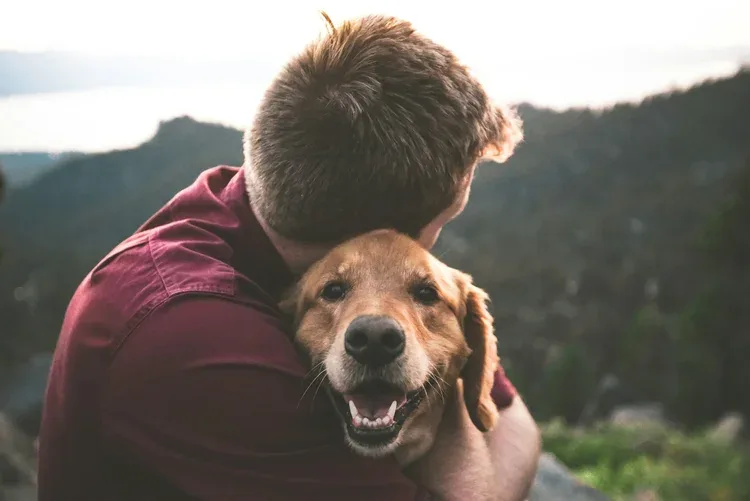 Pat's Pack Dog Training — dog training in Oceanside, CA