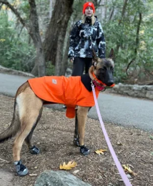 Riverside Canine Center: dog training in Nashua, NH (3)
