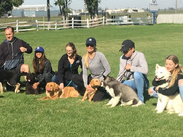 Dog training classes offered by Big Basin Dogs