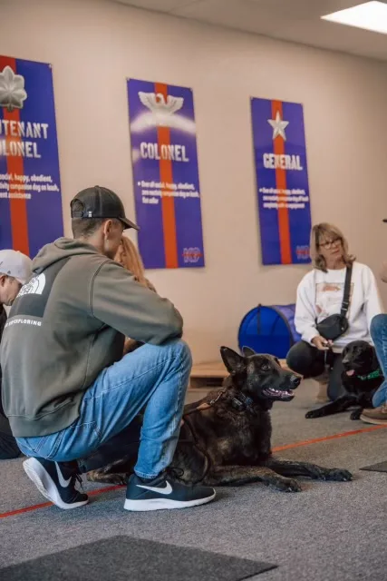 Fidelis K9 — dog training in Orangevale, CA