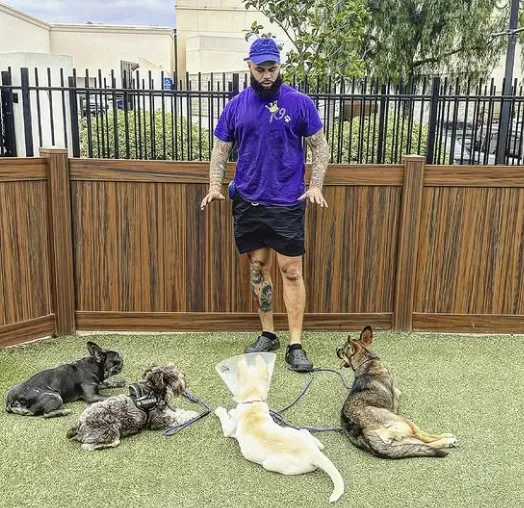 Kingdom K9 Poway — dog training in Poway, CA