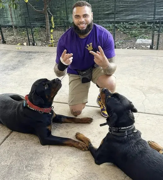 Kingdom K9 Poway — dog training in Poway, CA (3)