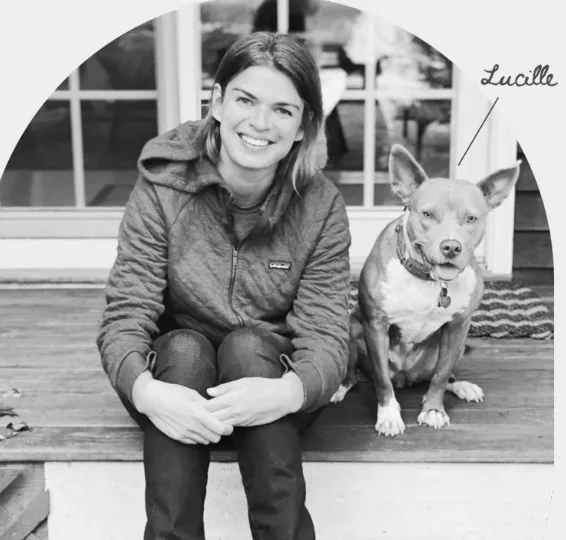 Balanced Bay Dog Training (2)