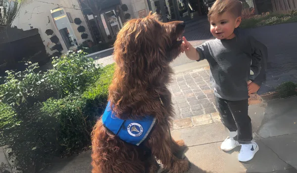 Dog Day Care in Pasadena, CA