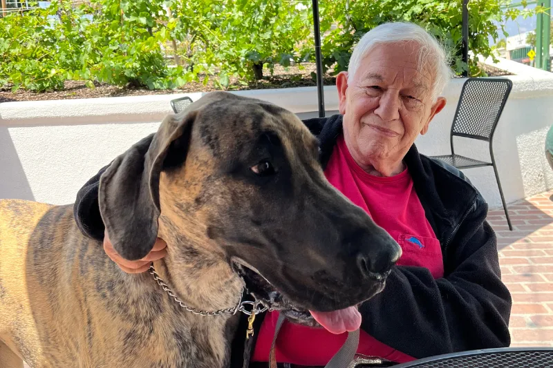 Howard Finkelstein- Owner Of Obedience Please Dog Training