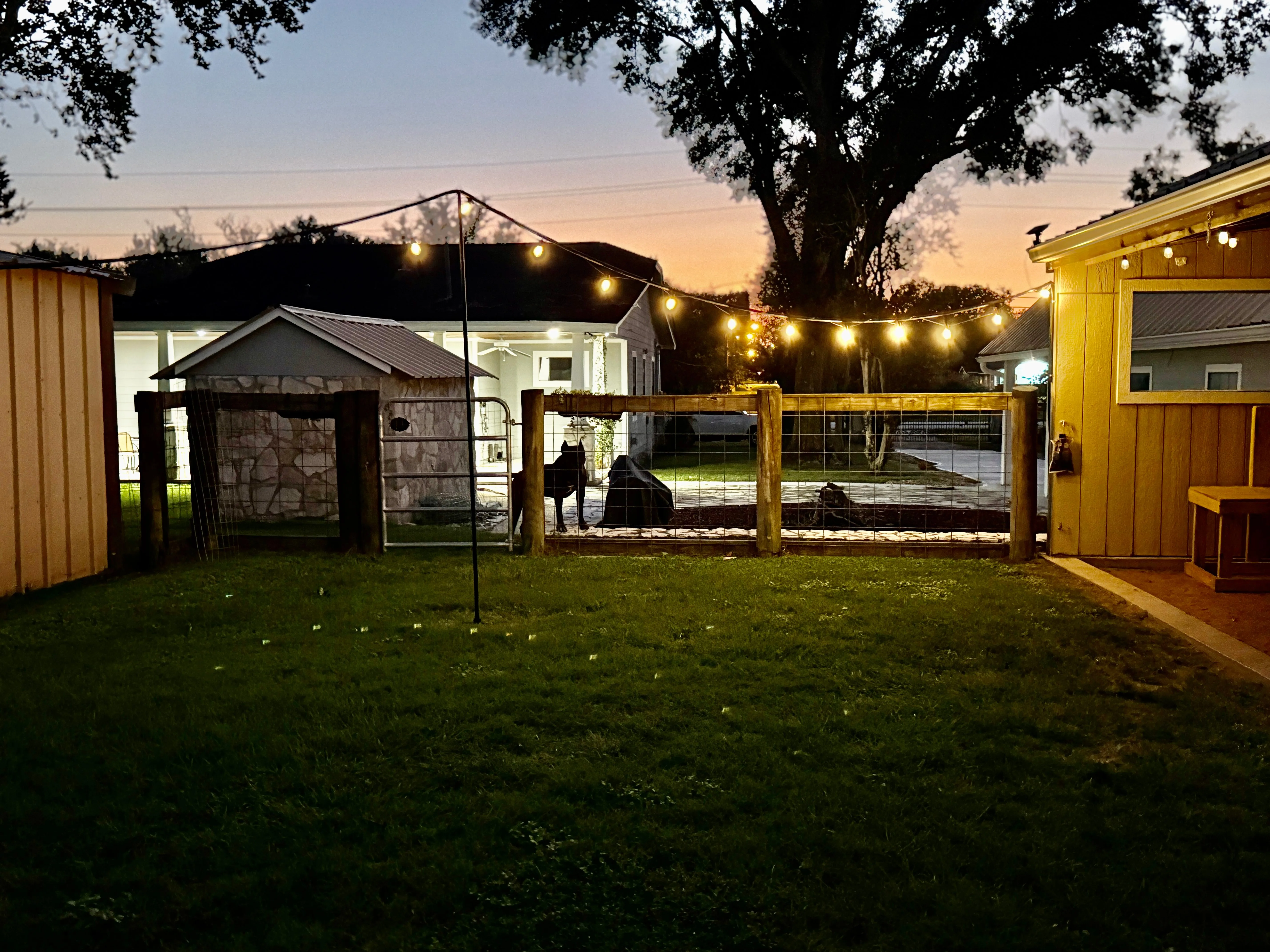 Evening view of All Dogs Training Co facility in Houston with beautiful lighting and welcoming atmosphere