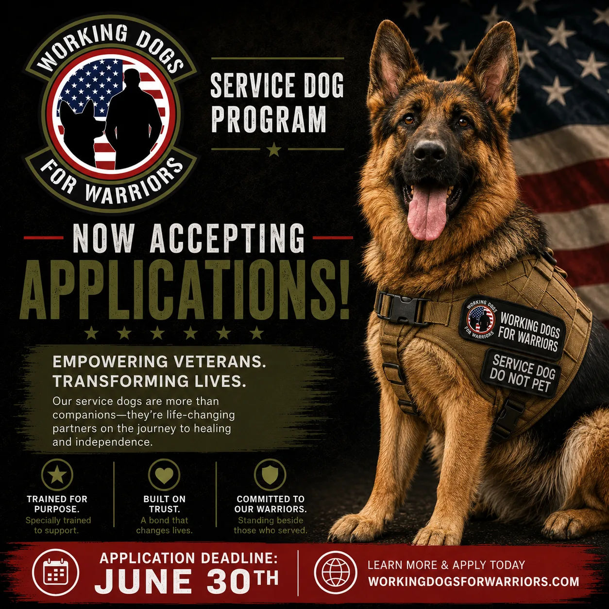 At Working Dogs for Warriors, we are committed to empowering veterans and first responders through the life-changing partnership of a highly trained service dog. Our program pairs deserving warriors with dogs trained to perform tasks that mitigate disabilities related to PTSD, traumatic brain injuries, and other service-connected conditions while providing confidence, independence, and unwavering companionship. 
 If you're ready to begin your journey toward healing and greater independence, we invite you to apply and learn how a service dog can change your life. 
  
Applications are now open. If you're a veteran or first responder seeking the life-changing support of a service dog, we invite you to learn more and apply today.Application Deadline is June 30th.