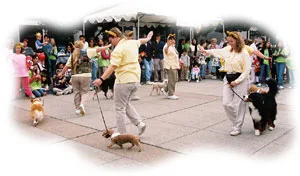 Therapy Dogs & Community Service

      

      
        Resources for Therapy Dogs
        Interested in Therapy Dog work but don't know where to turn?  Many San Lorenzo Dog Training Club members and students serve the community by doing therapy work with their dogs.  Learn about some of the Therapy Dog organizations and programs that they participate in.

        Community Service with the SLDTC
        In addition to offering a wide range of obedience classes, the San Lorenzo Dog Training Club is very active making a difference in the community.  We have a therapy dog team, a dog dancing team, and a canine ambassador program that visit a variety of facilities, organizations, and schools in the community.

        Comfort Dogs
        Read about how our therapy dogs worked as comfort dogs at the Oakland warehouse fire.
