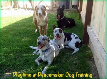 Request Training Services