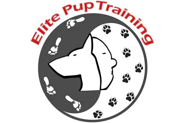 Elite Pup Training