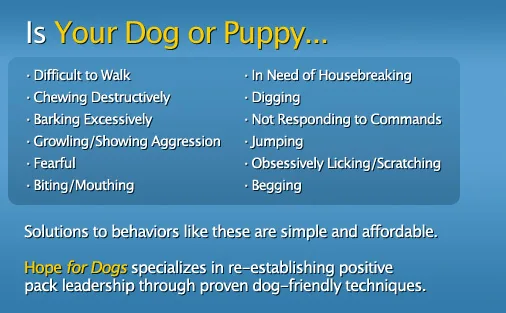 Satisfaction
                    Guaranteed ·
                    Convenient In-Home Training · Lifetime Support
                  
                  
              
              
            
             
              
                   
                     
                      
                         
                          
                            
                            
                              
                            
                            
                              
                                  
                                    Training Vision...
                                    
                                      Helping owners understand
                                      how their dogs communicate, establish positive
                                      pack leadership skills, and apply behavioral
                                      modifications is delivering immediate results
                                      clients are thrilled with. 
                                      
Developing a mutually rewarding relationship with your dog is easy and achievable
and I am here to show you how.
                            
                            Read Full Biography
                                  
                              
                            
                            
                              
                            
                            
                              
                            
                                                     
                        
                      
                    

   
                        
                        

                      
                         
                          
                        
                         
                          
                               
                                "Training
                                      with Hope has been great. She has shown
                                      us how to clearly communicate…
                                 "                                
                                                                Emily Schofield, Lafayette Ca                                    
                                                                
                                                                View
                                  All Testimonials
                              
                          
                        
                         
                          
                        
                         
                          
                        
                      
                      
                      
                  
                
            
            
              
                
                  
                    Serving Contra Costa & Alameda
              Counties
                    
                  
                
            
             
              
            
             
              
                   
                    Training Philosophy | Services | Client
                          Testimonials | Contact Us | Resource
                          Links | Home
Website designed by