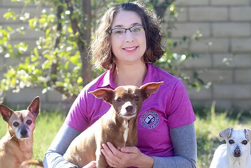 dog trainer 3 cute dogs