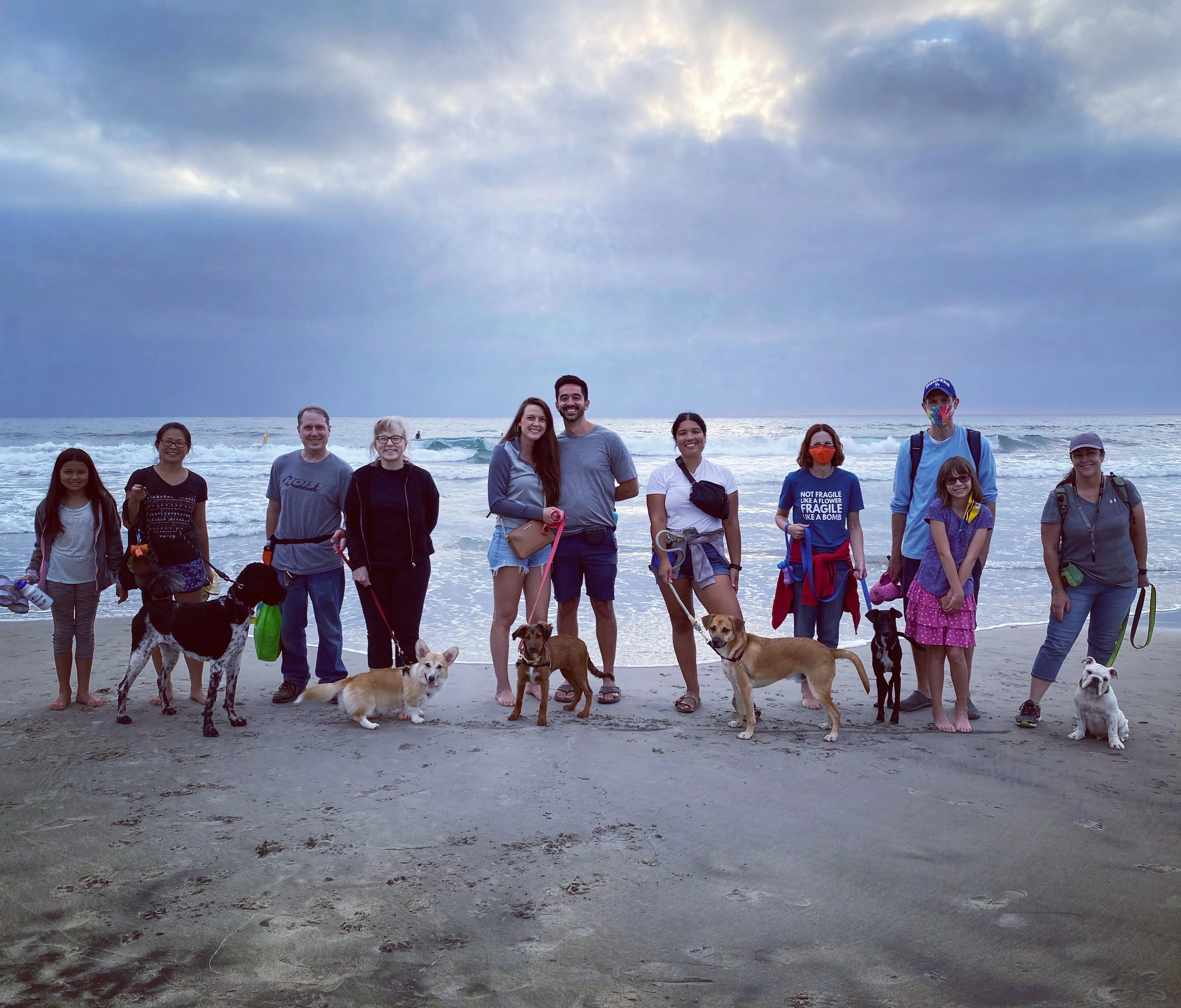 Group of dogs and owners in a park