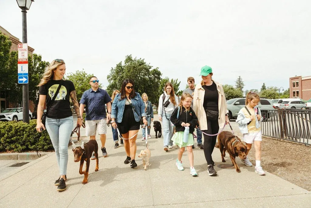 PLACER COUNTY, CALIFORNIA EXPERTS IN DOG TRAINING


  


  
  SCHEDULE YOUR FREE TRANSFORMATION SESSION!


  


  
   At your wits end with Barking, Biting, or Overall Behavior?Don’t let your dog’s behavior problems control your life. Rebel Dog Training can help you achieve peace of mind and take back your sanity.