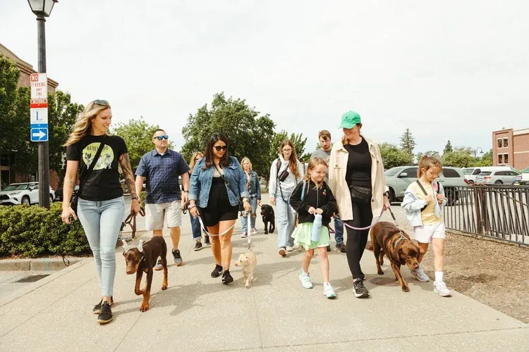 PLACER COUNTY, CALIFORNIA EXPERTS IN DOG TRAINING


  


  
  SCHEDULE YOUR FREE TRANSFORMATION SESSION!


  


  
   At your wits end with Barking, Biting, or Overall Behavior?Don’t let your dog’s behavior problems control your life. Rebel Dog Training can help you achieve peace of mind and take back your sanity.