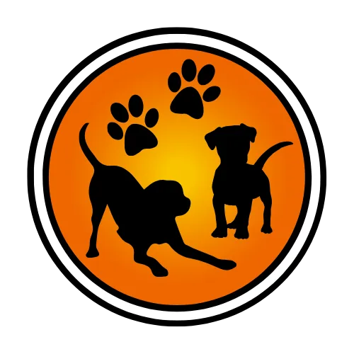 Puppy TrainingStart your puppy off right with our specialized training programs in San Diego County.Learn More about Puppy Training