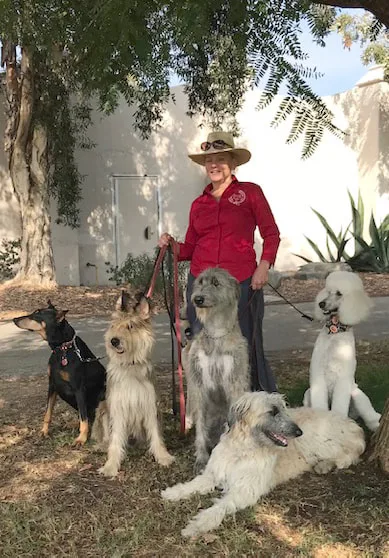 UPCOMInG EVENTS​JULy 8Wednesday EVENINGJuly 25Advanced TrainingAugust 15​Saturday Novice Orientation&Canine Good CitizEN TESTinG




 Play Pause  




​​Click for current information on