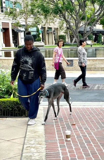 UPCOMInG EVENTS​JULy 8Wednesday EVENINGJuly 25Advanced TrainingAugust 15​Saturday Novice Orientation&Canine Good CitizEN TESTinG




 Play Pause  




​​Click for current information on