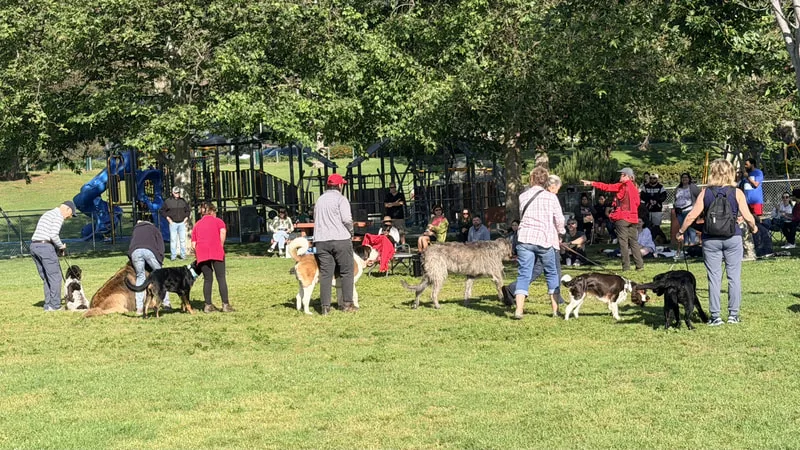 UPCOMInG EVENTS​JULy 8Wednesday EVENINGJuly 25Advanced TrainingAugust 15​Saturday Novice Orientation&Canine Good CitizEN TESTinG




 Play Pause  




​​Click for current information on