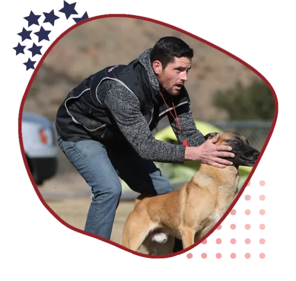 Marvel K9 Dog Training