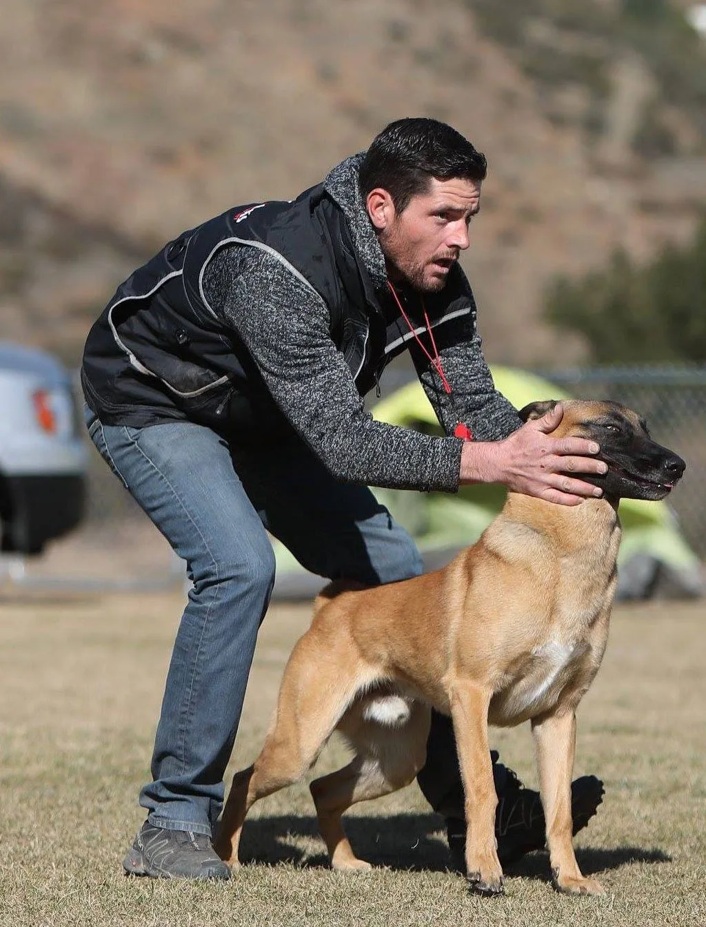 Marvel K9 Dog Training (4)
