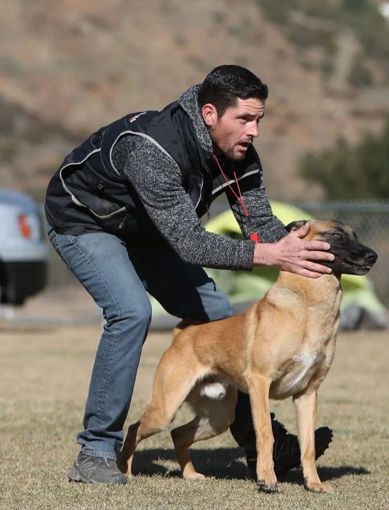 Marvel K9 Dog Training (5)