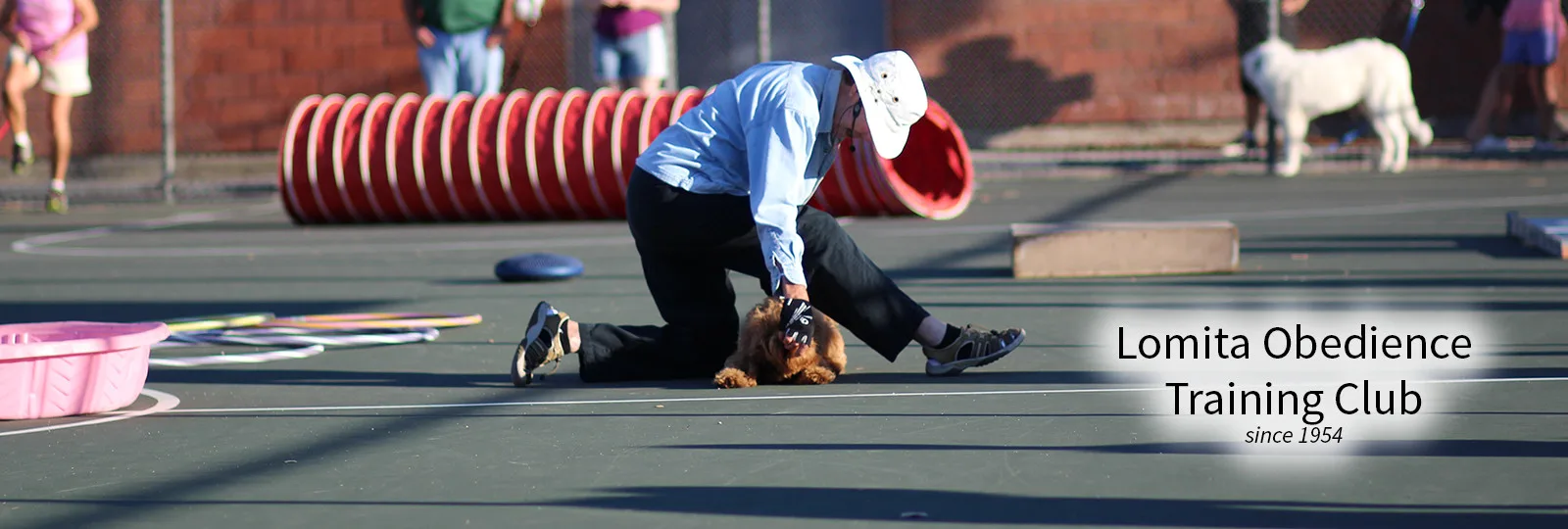 Lomita Dog Training - Ethel, trainer