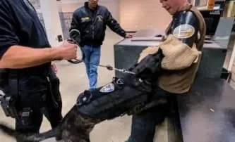 A police officer holding a leash of a police dog wearing a k9 vest, while another officer watches.