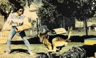 Lrg-man-k9-manuel-villanueva-training-police-dog-to-bite-retro-small