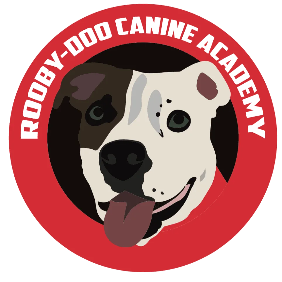 Contact Details 
 info@roobydoocanineacademy.com(559) 361-8414 
  
    
 
 Contact Us 
 
 
   
  Follow Us on Social Media
