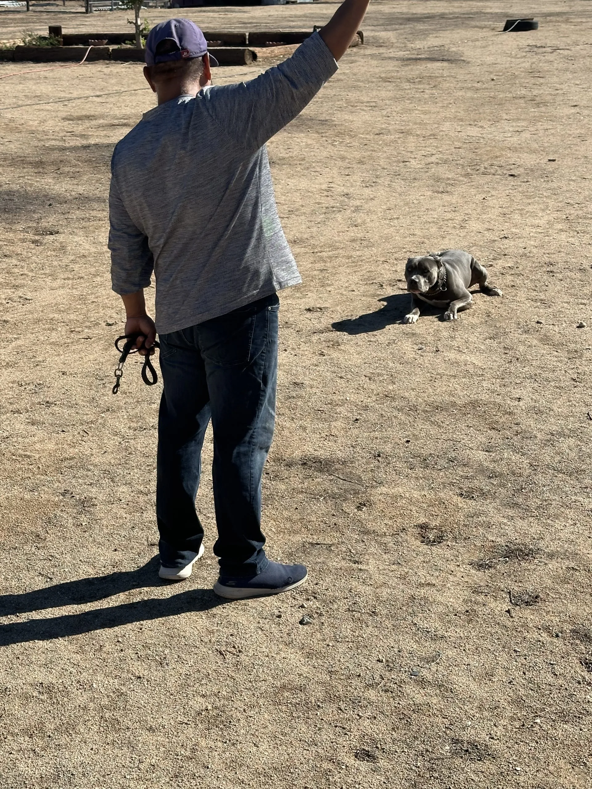 Smart Dog Training School — dog training in Palmdale, CA (2)