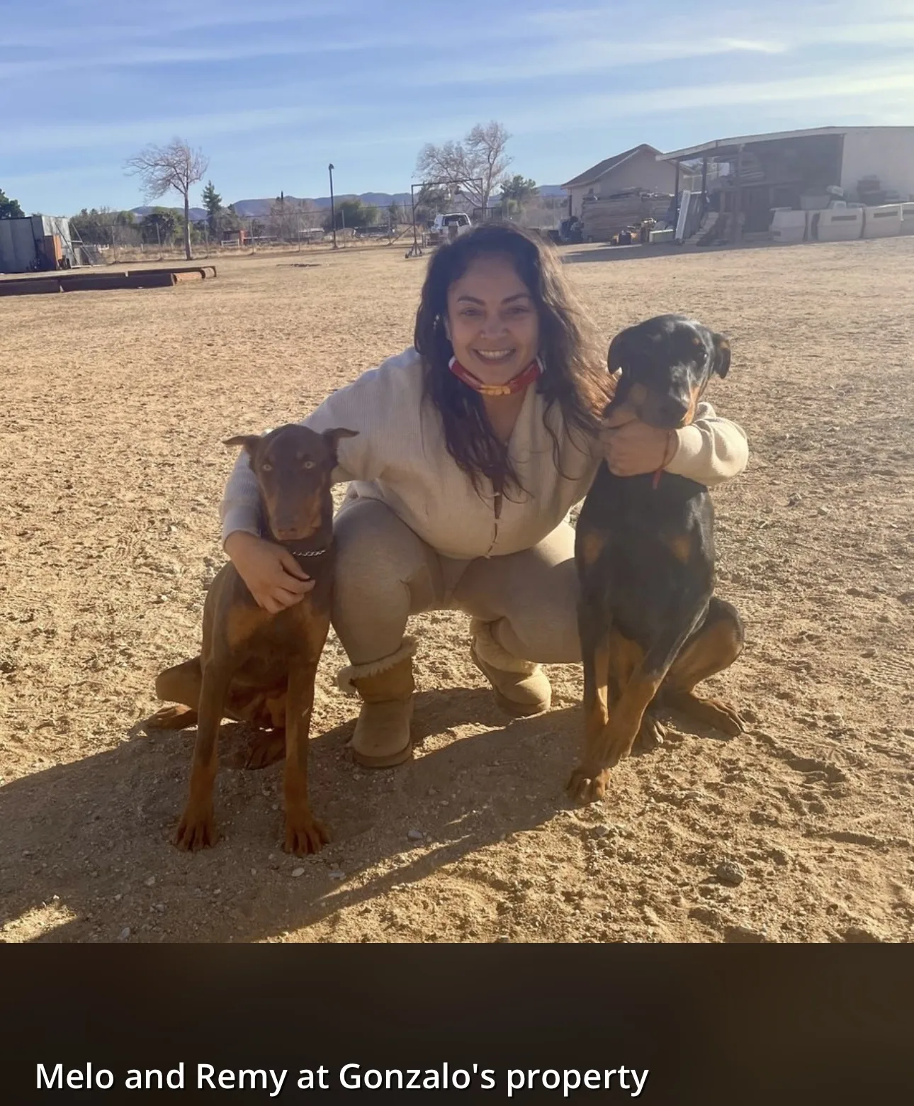 Smart Dog Training School — dog training in Palmdale, CA (3)