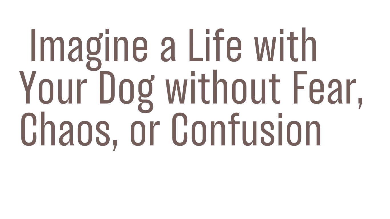 Dog Behavior Training