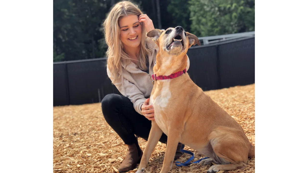 Online Courses
 
Learn to co-regulate with your canine through Ashley’s comprehensive online course. This step-by-step program is designed to equip you with the essential tools and techniques for fostering a deeper connection with your dog.
Pre-Sale Now Available!