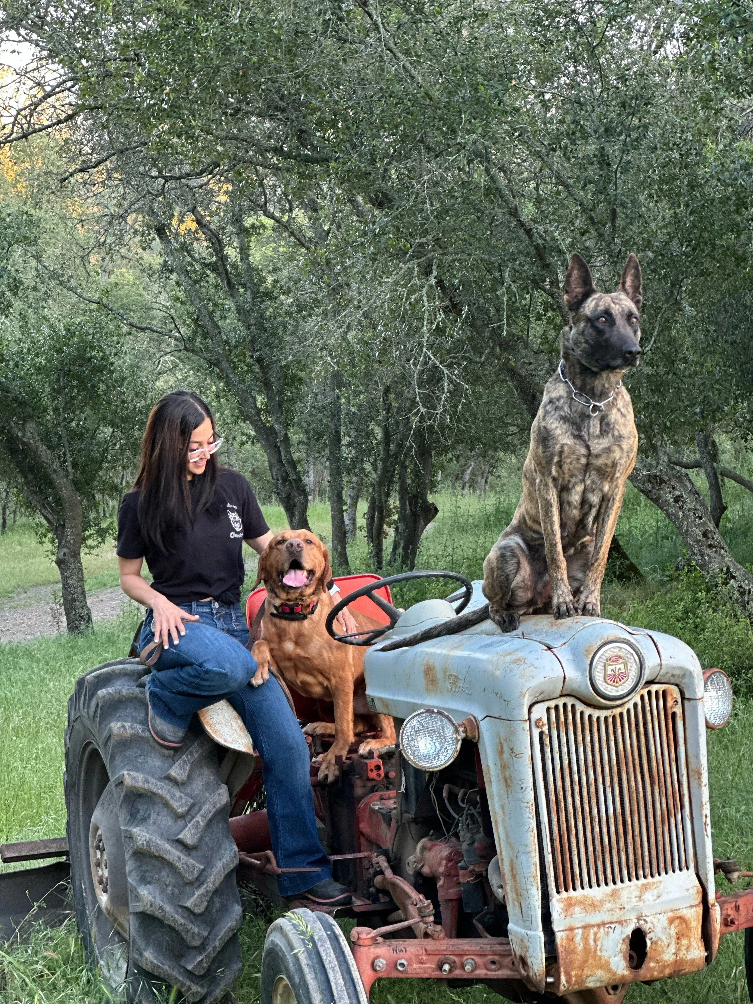 A young woman with glasses and dark hair, wearing a black shirt and jeans, is sitting on an old, rusty tractor with two dogs, one sitting beside her with its tongue out and a large brindle dog sitting on top of the tractor's hood. The scene is set outdoors in a green area with trees in the background.