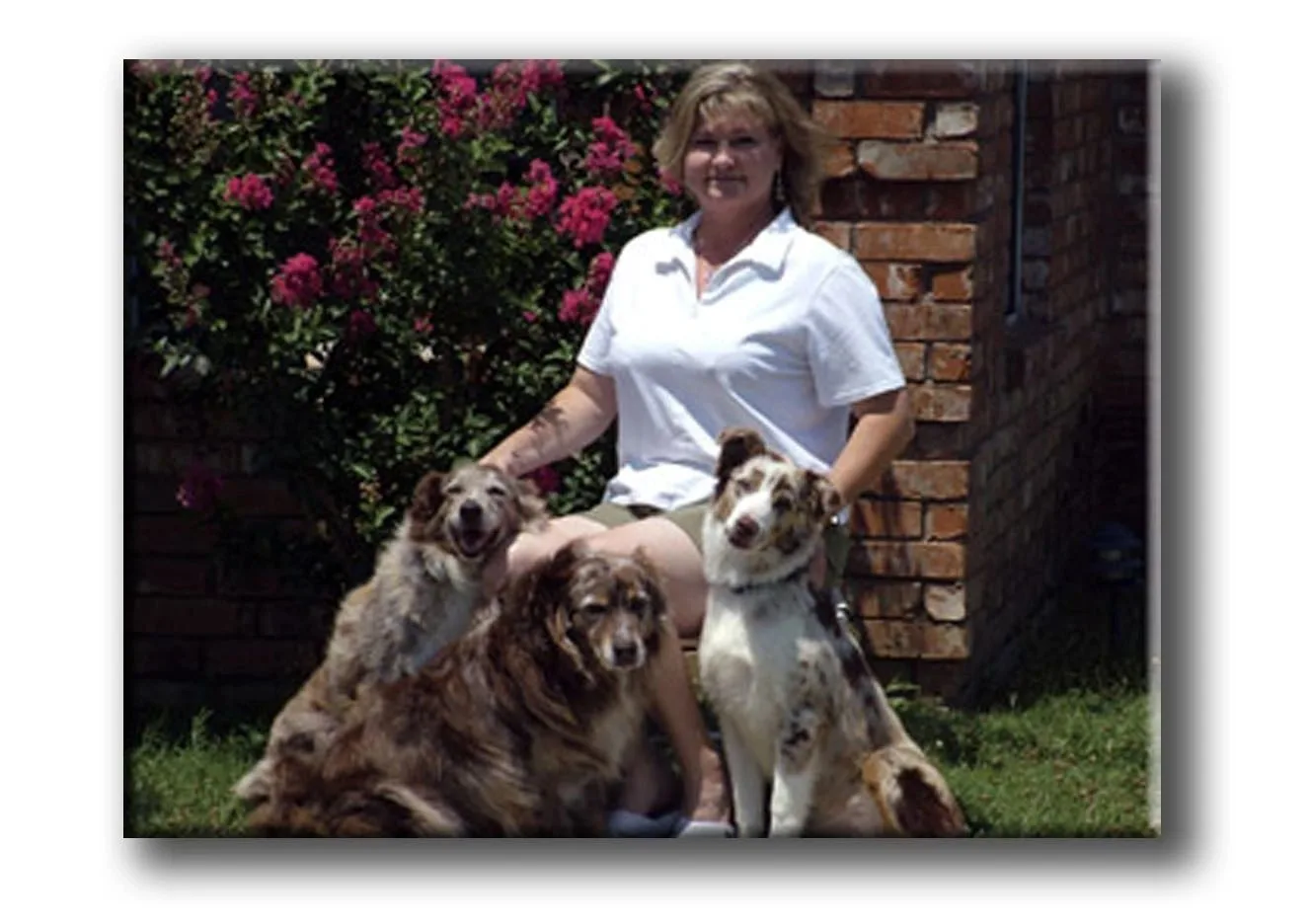 A woman sitting outdoors with three dogs in front of a brick wall and flowering bush.