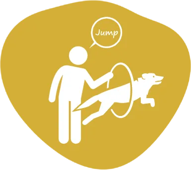 Personalized Dog Training
			
				
				
				
				
				Every program is tailored to your dog’s unique behavior, needs, and goals.