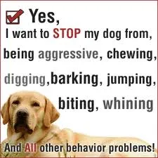 Behavior Checklist