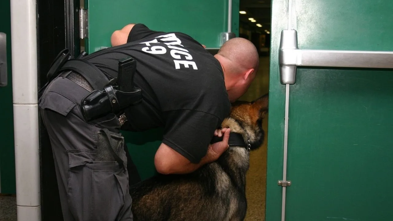 _
What Makes a Good K9 Handler?
  
  
    







  
    Watch Now