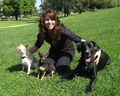 The Barking Bunch — dog training in North Hollywood, CA