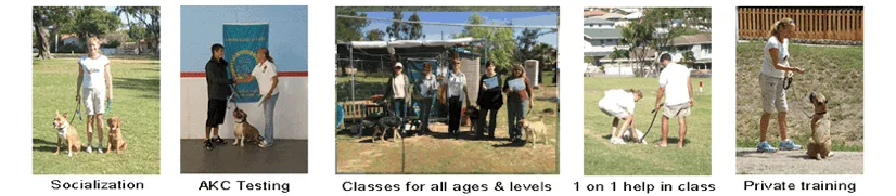 Aspire Dog Training — dog training in Poway, CA