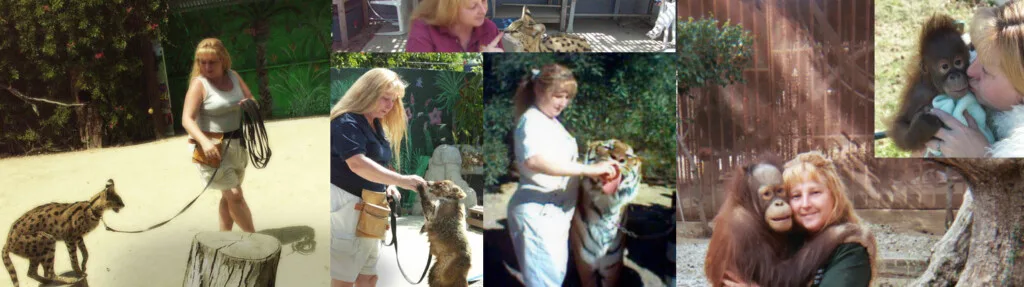Jacqueline is one of the few dog trainers in the Los Angeles area who has degrees in Exotic Animal Training, Animal Behavior Management, Wildlife Education & Sociology.  She began working with dogs and cats as a walker and pet sitter on the west side of Los Angeles as a teenager.
Jacqueline has the experience and educational background to understand the motivation to help your dog foster or cease certain behaviors. Working with dogs that need a little extra attention requires someone with a deep understanding of animal behavior and motivation.
There are trainers who can teach, sit, down, and stay, but your dog’s behavior consists of more than just those behaviors.  Hiring a trainer who understands animal behavior and psychology is more valuable and can help you and your dog avoid unwanted or undesirable behaviors and become the secure and happy dog you want your dog to be.
