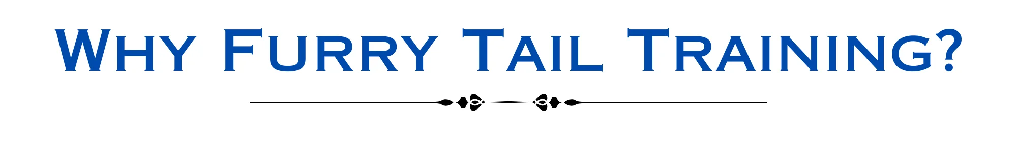 Why choose Furry Tail Training – humane dog and cat training by a certified behavior expert in Lake Elsinore