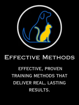 Effective, proven dog and cat training methods that deliver real, lasting results with Furry Tail Training