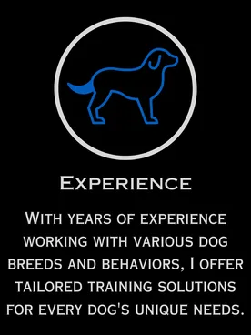 experienced-dog-trainer-custom-training-solutions-furry-tail.jpg