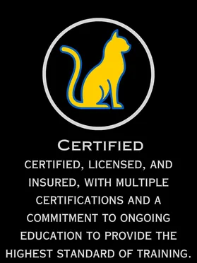 Certified, licensed, and insured dog and cat trainer committed to ongoing education and high standards at Furry Tail Training