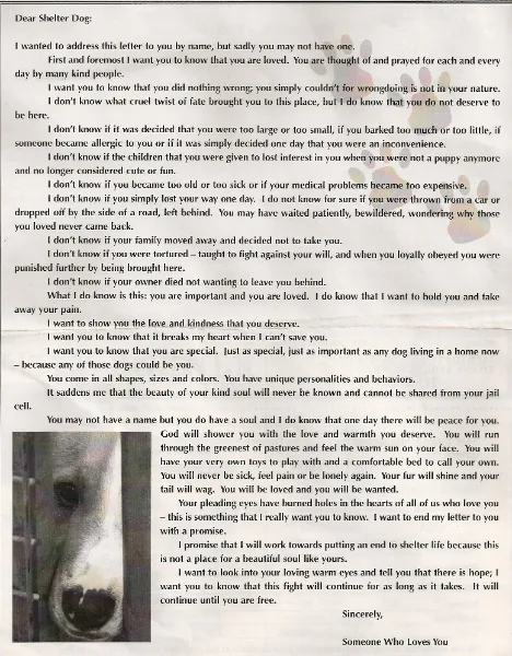 Services      
      
        
          
            
          
        
      
                  Services We Provide      
      
        
          
            Doberman are our specialized breed
          
        
      
      
        
          
            But all dogs need education too.Education one paw at a time©
          
        
      
      As of 1985 as a Dog Behaviorist and doing Private Training, I can strongly say that I have worked with all types of breeds. This has included puppies, adults, timed, high strong, aggressive, and behavioral problems, and house breaking. I offer basic obedience or advance obedience and basic agility.I offer a full service in advice in training tools and techniques, dog behavior problems, training and recommendations.I offer Group and/or private lessons, adults and juniors, build dog runs, welding and small fabrication, digital photographs and videos.I also offer AKC® Canine Good Citizen®, AKC® S.T.A.R. Puppyand AKC® Therapy Dog Program ClassesI also teach Dog Fist Aid Class which is held at El Paso Community CollageI offer dog/ house sitting with full servicesI am a 24 hours service company by appointment only.Bilingual / Bilingüe: English & Spanish > Hablamos Espaňol      
      AnalysisConsultingAdvice      
            
                  Dogs      
                     A Better Canine 4 U ©      
      
        
          
             Ruby Ann Gallegos (7yrs) makes sure mommy   and babies are sleeping comfortable. Sabrina    3rd day after whelping. 1996                                   
          
        
      
      











      
      Liberty and America 2007